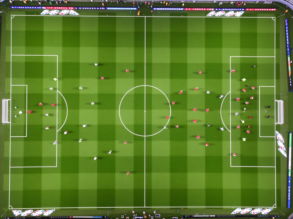 爱游戏体育官网-中美澳德蝶泳划幅对比分析报告,奥运蝶泳比赛视频 第3张