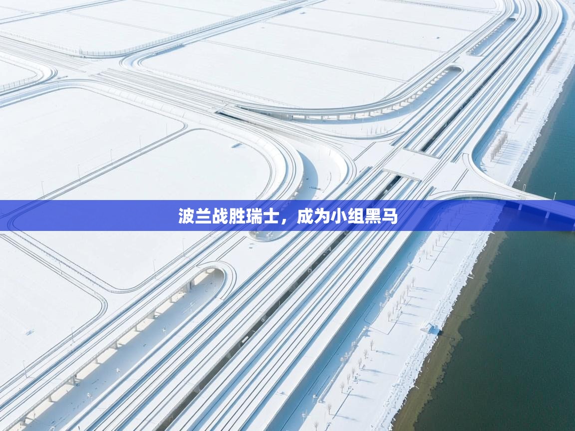 波兰战胜瑞士,成为小组黑马 第1张