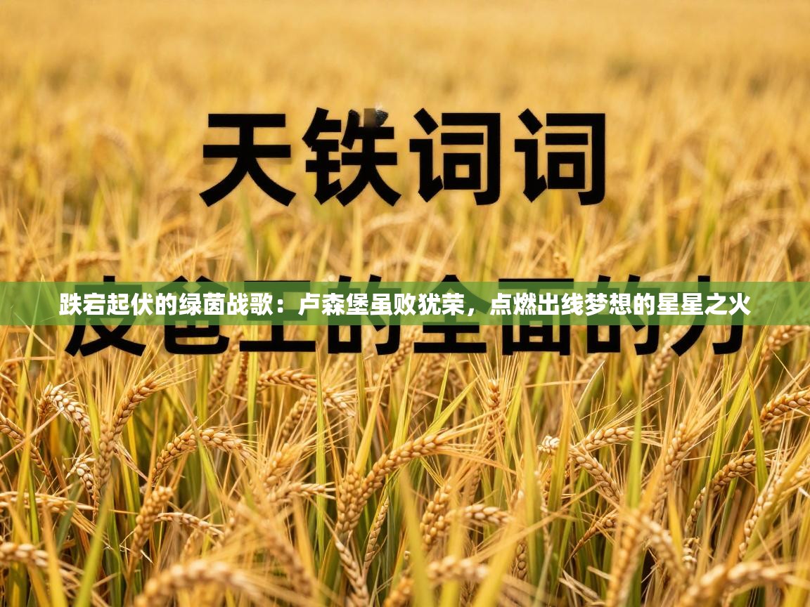 跌宕起伏的绿茵战歌：卢森堡虽败犹荣，点燃出线梦想的星星之火  第2张